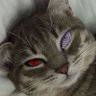 Jinnys profil fotoğrafı