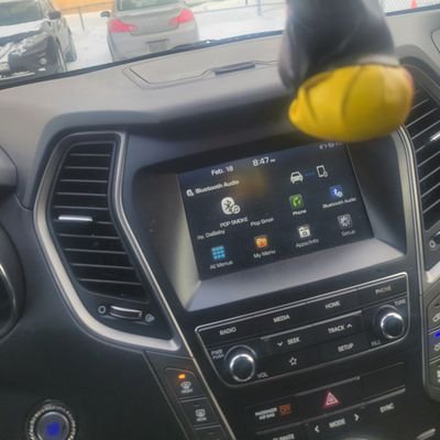 royineveryroom's profile picture