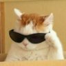 ket's profile picture