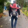 Fraser Webster's profile picture