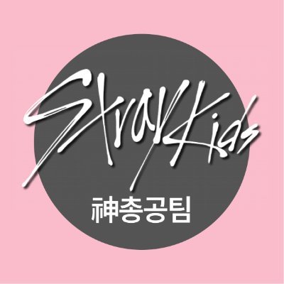 스트레이키즈 神총공팀's profile picture