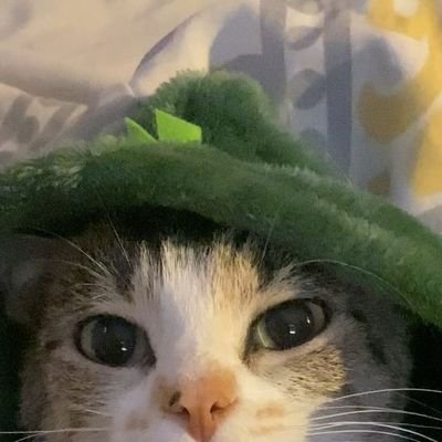 rana's profile picture