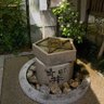 オカボン 的头像
