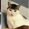 Dazza profil fotoğrafı
