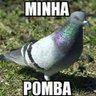 MISCHEKI's profile picture