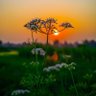 Фото профиля انس