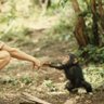 Curious George 的头像