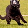 Profilbild von Panthers Hydration Coordinator