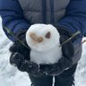 skibum 的头像