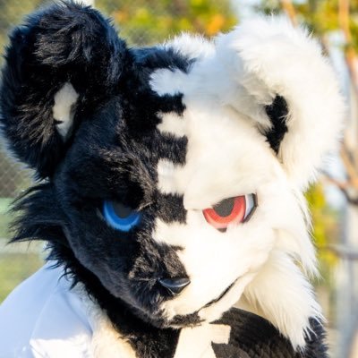 dirty_reimo's profile picture