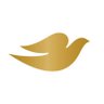 Фото профиля Dove Brasil
