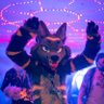 ToxicFox's profile picture