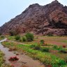 زاهر الشريف profil fotoğrafı