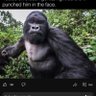 An African Proverb's profile picture