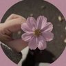 Nur Ain's profile picture
