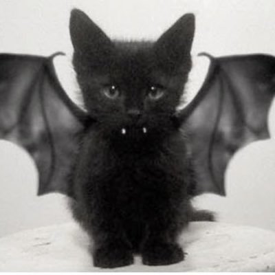 Miyra's profile picture