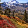 Фото профиля Earthquake Red Zone Needed in Washington State
