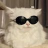 ᘉ26ପଓ's profile picture