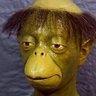 Kane's profile picture