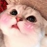 มี๊ 💕 profil fotoğrafı