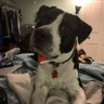 WinstonJack profil fotoğrafı