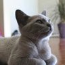 MARZIA's profile picture
