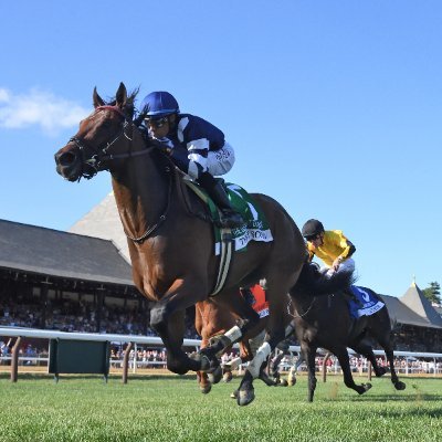 Herringswell Stables's profile picture