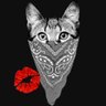 Profilbild von kayluv💋