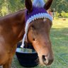 Фото профиля BoJen Horsewoman