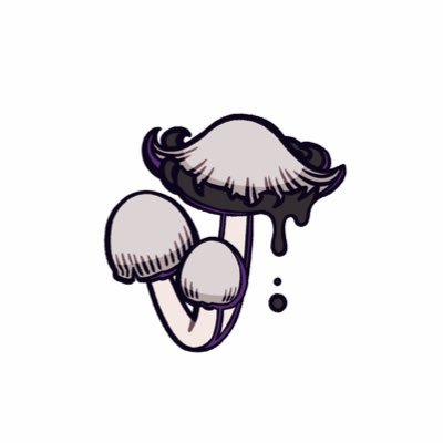 sgw_nobo's profile picture
