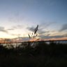 Фото профиля Reports