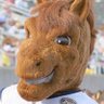 DUNKER (0-0)'s profile picture