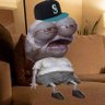 Bobby's profile picture