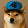 Shib Panther profil fotoğrafı