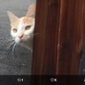 Фото профиля Lapinou Lucien
