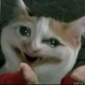Фото профиля ImeanImjustsayintho