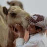 البدوي الأخير's profile picture