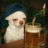 Profilbild von Reedsy