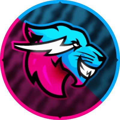 MrBeastInsights's profile picture
