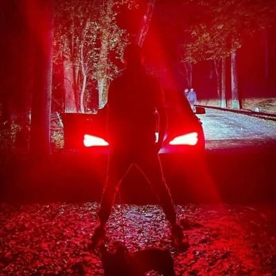 Qartal ‎𐱅𐰇𐰼𐰜's profile picture