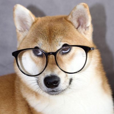 tonaitoo's profile picture