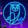 Steve D's profile picture
