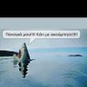 Profilbild von kelly_kelly2 kelly_kelly2