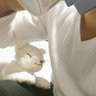 🦊キツネ小屋のキッチン🦊's profile picture