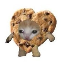 sasim2gether's profile picture