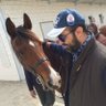 Ashraf Mounir (⋈, 🤖) profil fotoğrafı