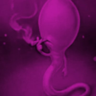 Goon4Neet's profile picture