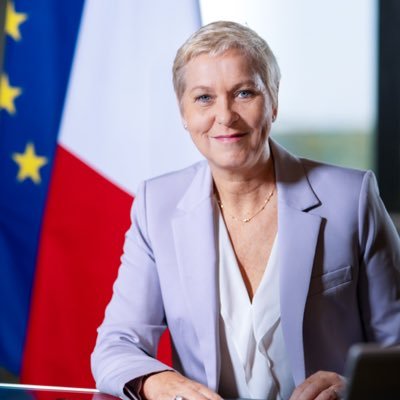 Anne Le Hénanff's profile picture