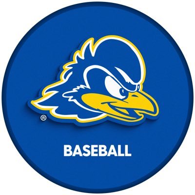 Delaware Baseball's profile picture
