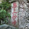 向陽花的春天 profil fotoğrafı